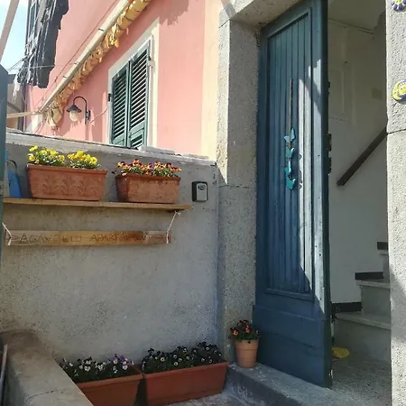 Agaveblu Near Portovenere La Spezia
