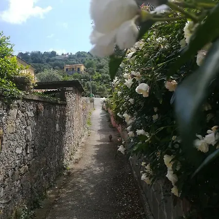 Agaveblu Near Portovenere *